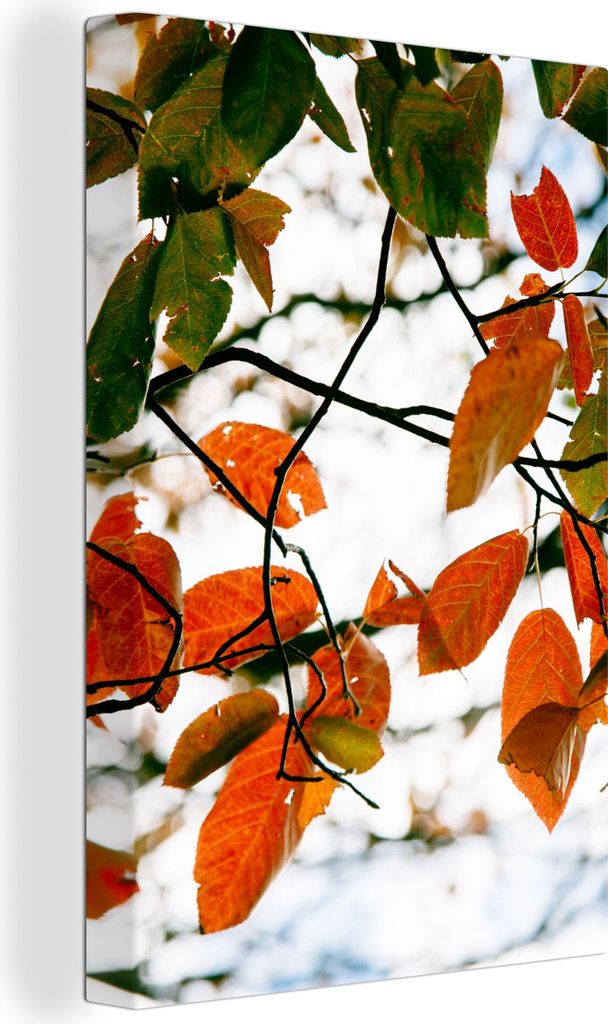 OneMillionCanvasses - Leinwandbilder - 90x140 cm, Herbst - Blätter - Landleben - Jahreszeiten, Wandbilder Kunstdruck Wanddekoration - Foto auf L...