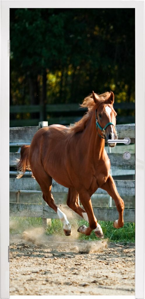 MuchoWow Türtapete Selbstklebende Türfolie Pferd - Licht - Sand 85x215 cm Türposter Türaufkleber Klebefolie Türklebefolie - Aufkleber für t...