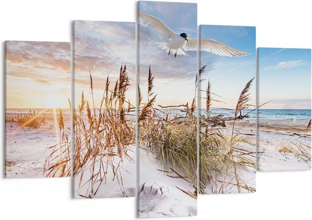 Bild auf Leinwand - Leinwandbild - 5 Teile - Möwe Meer Küste - 150x100cm - Wand Bild - Wanddeko - Wandbilder - Leinwanddruck - Bilder - Wanddekor...