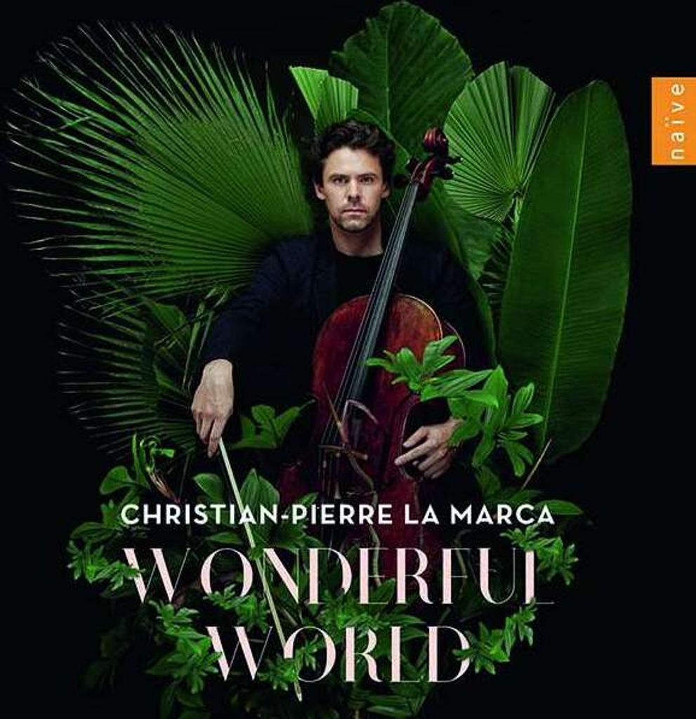 Wonderful World