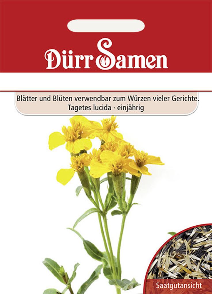 Dürr-Samen - Würz-Tagetes - Saatgut - 0594