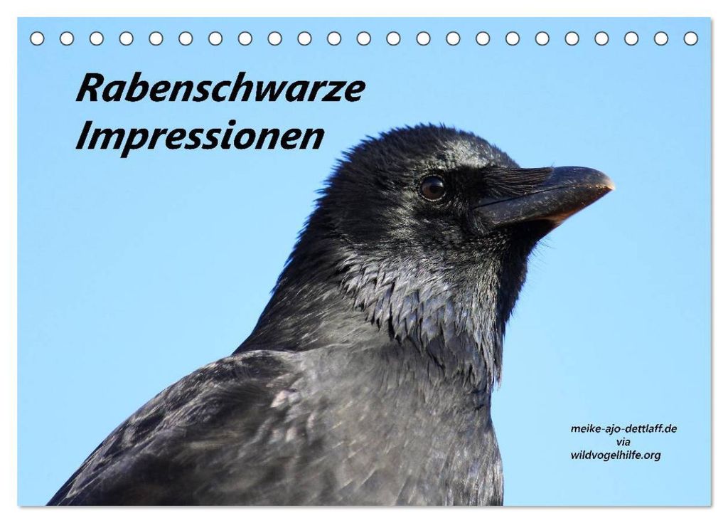 Rabenschwarze Impressionen - Meike Ajo Dettlaff via Wildvogelhlfe (Tischkalender 2027 DIN A5 quer), CALVENDO Monatskalender