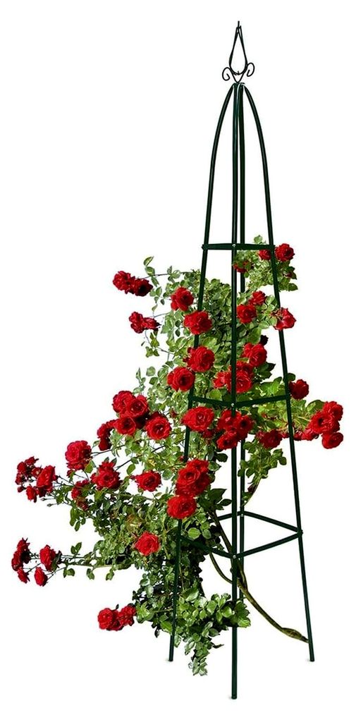 Pyramiden-Rankhilfe aus Stahl ca. 200 x 24,5 x 24,5 cm