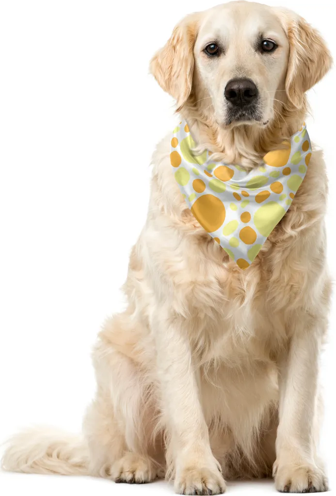 ABAKUHAUS Bandana astratta per animali domestici, pois geometrici moderni, 55x55 cm, giallo pallido albicocca