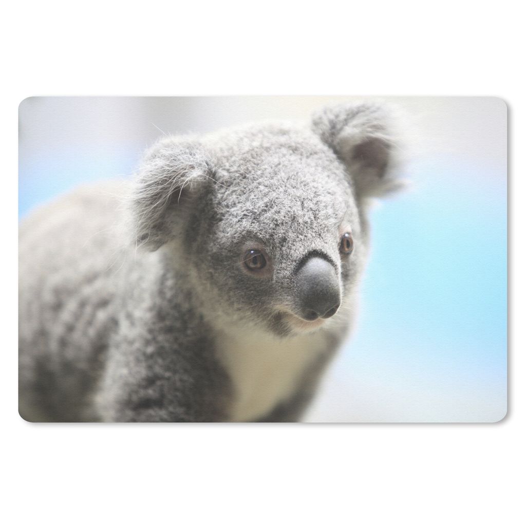 MuchoWow Schreibtischunterlage Koala - Nahaufnahme - Tier - Kinder - Jungen - Mädchen 60x40 cm - XXL Mauspad - Großes Mauspad