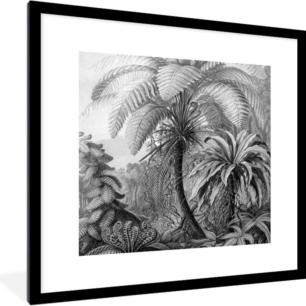 MuchoWow Gerahmtes Poster Pflanzen - Schwarz und weiß - Design - Illustration - Botanisch 40x40 cm - Poster mit Schwarzem Bilderrahmen Wandposte...