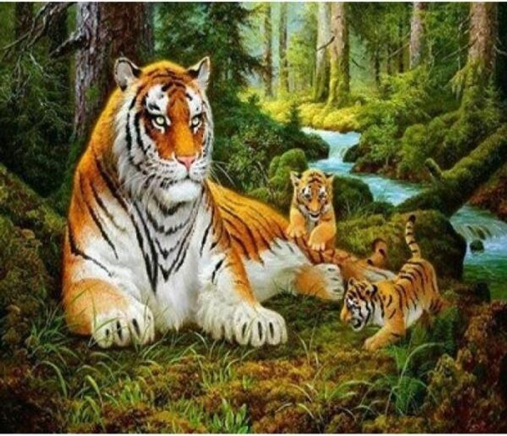NORIMPEX Diamond Mosaic Tigrysica 1005257 Produktbild 1