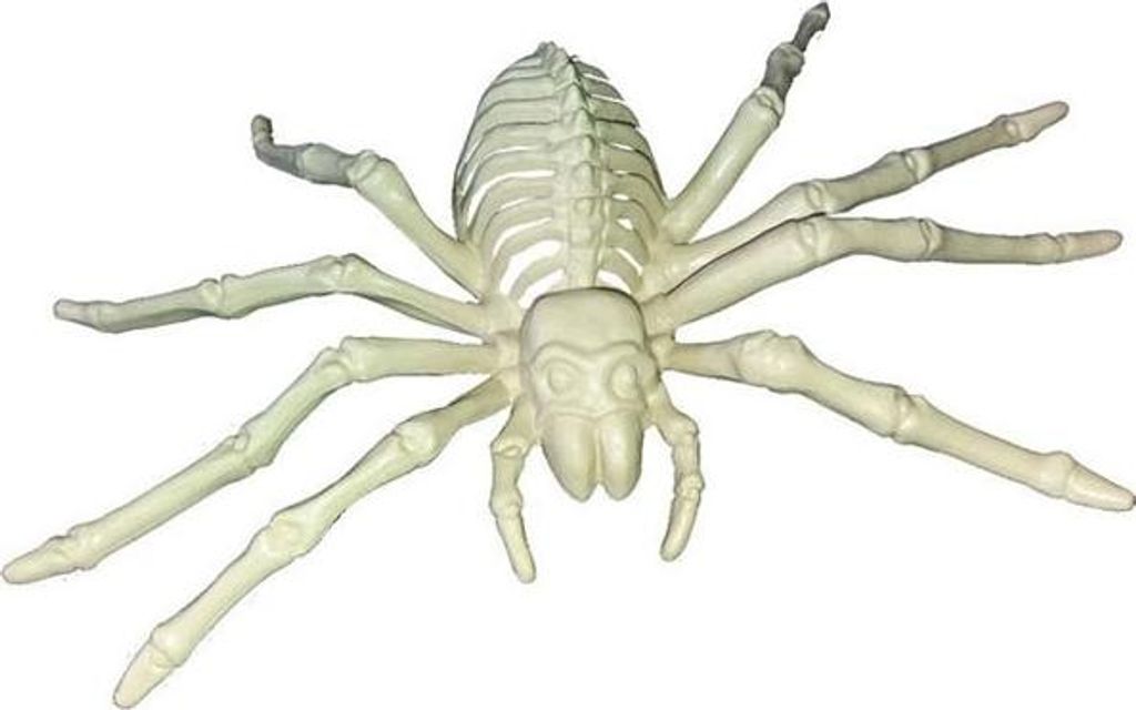 Guirca Spinnenskelett 24 Cm    One Size Produktbild 