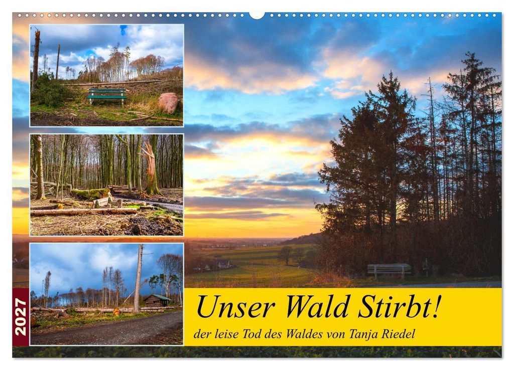 Unser Wald Stirbt (Wandkalender 2027 DIN A2 quer), CALVENDO Monatskalender