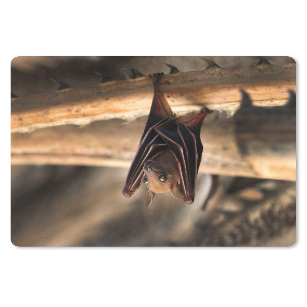 MuchoWow Schreibtischunterlage Baby - Fledermaus - Holz 60x40 cm - XXL Mauspad - Großes Mauspad