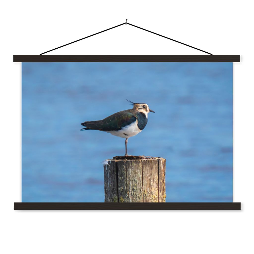 MuchoWow Textilposter Vogel - Tiere - Pfahl - Blau - Kiebitz 60x40 cm mit schwarzem Rahmen - Hölzernes