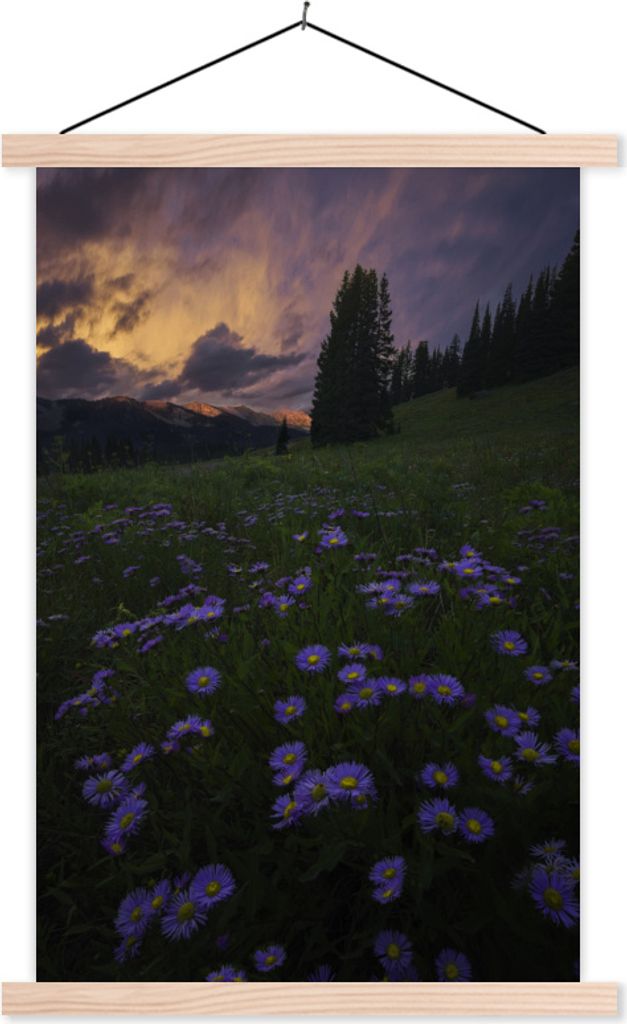 MuchoWow Textilposter Rocky Mountains - Blumen - Abenddämmerung 40x60 cm mit holzfarbenen Rahmen - Poster