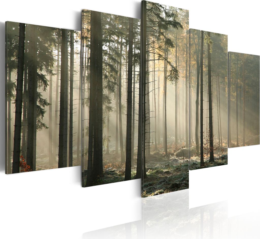 Leinwandbilder Wald 200x100 cm Vlies Leinwandbild 5 tlg Kunstdruck modern Wandbilder XXL Wanddekoration Design Wand Bild - Nebel Bäume Waldlandsch...