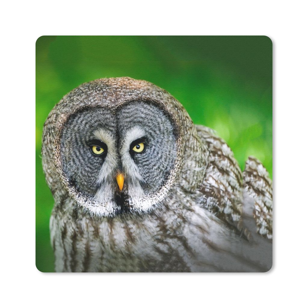 MuchoWow Mauspad Mousepad Vogel - Eule - Tiere - Braun - Porträt 20x20 cm - Mousepads - Maus Mat - Pad - Mausunterlage - Desk Mat - Bureauartikeln