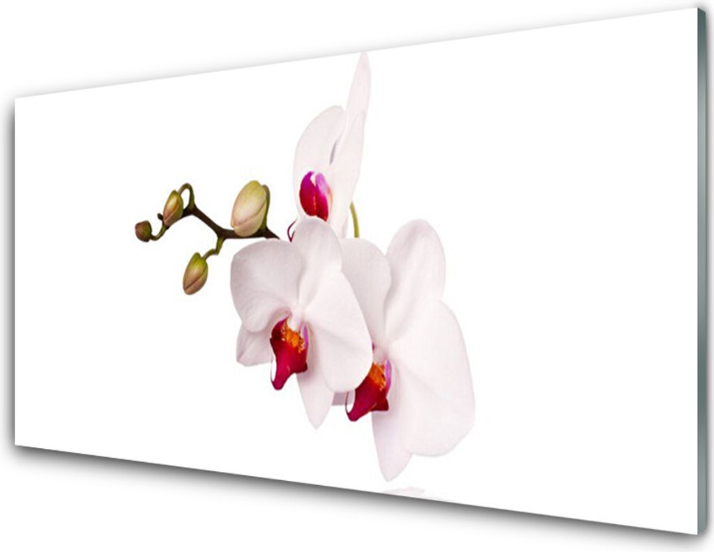 Küchenrückwand aus Glas 100x50cm Spritzschutz Blumen Pflanzen