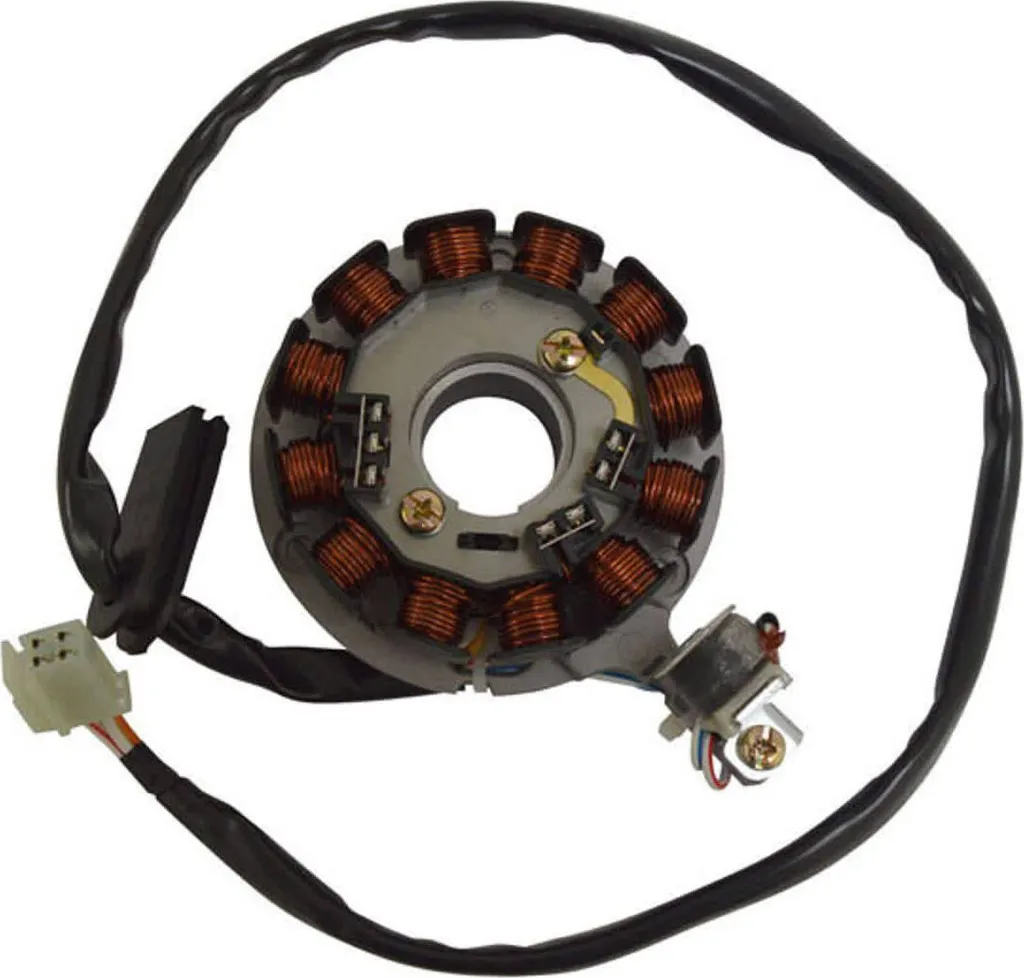 OFFERTA: Statore SGR 12 Poli con Pick-up e Piastra - Prezzo Shock