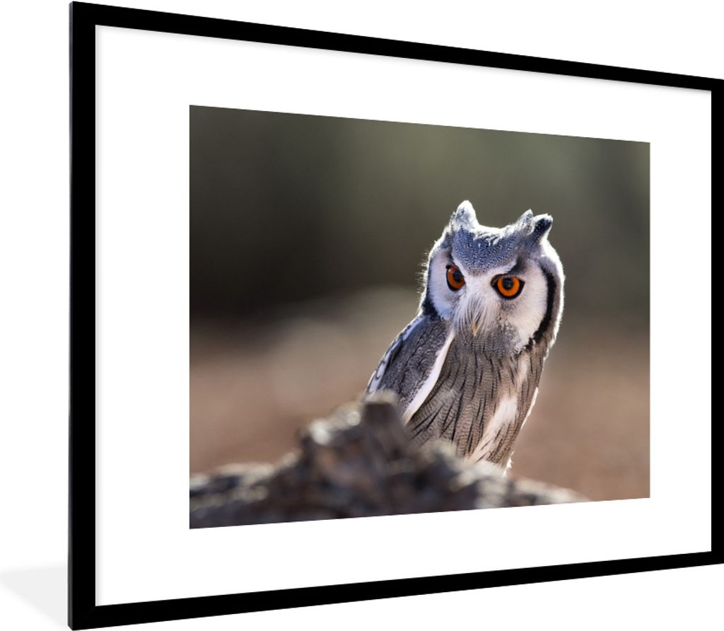 MuchoWow MuchoWow Gerahmtes Poster Eule - Makro - Tier 80x60 cm - Poster mit zchwarzem Bilderrahmen - Schlafzimmer-Dekorationen - Fotoposter