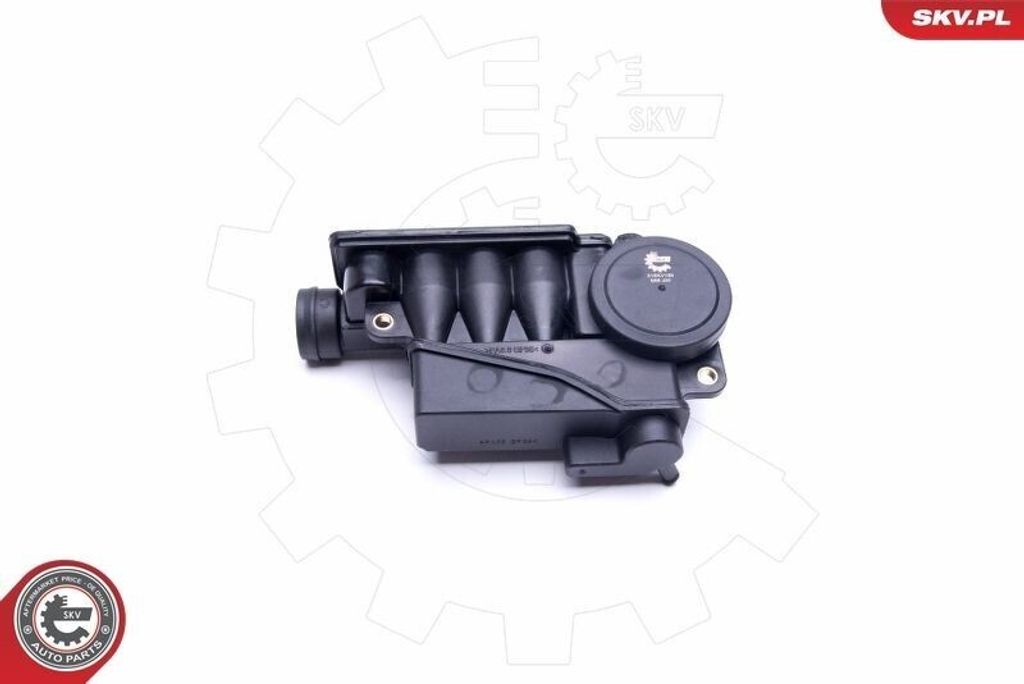 ESEN SKV 31SKV155 Ventil Kurbelgehäuseentlüftung PCV für AUDI A6 Avant (4F5, C6)