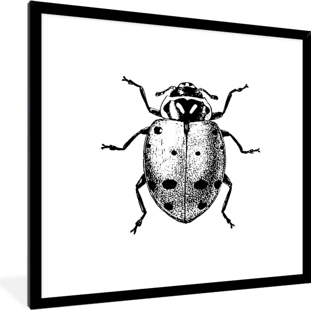 MuchoWow Gerahmtes Poster Vintage - Marienkäfer - Insekten - Schwarz und weiß 40x40 cm - Poster mit Schwarzem Bilderrahmen Wandposter Rahmen Fo...