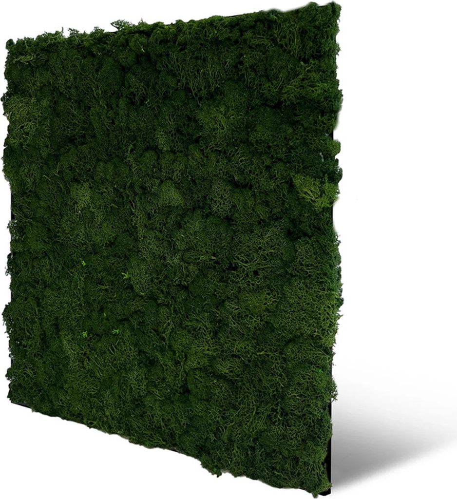 0,27m² 3d Paneele Moos Paneelen Mooswand Wandpaneele Deckenpaneele Schalldämmung PET Filz (11103 - Dark Green)