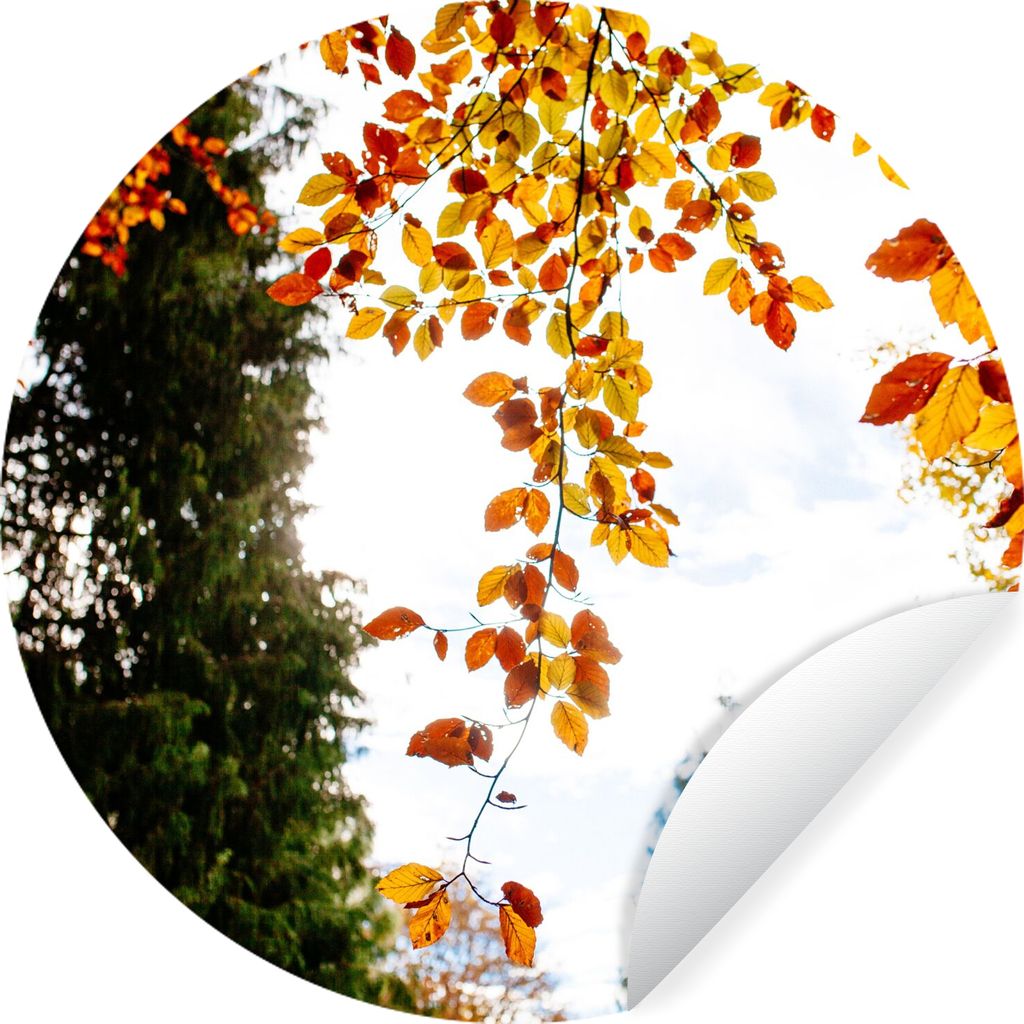 MuchoWow Runde Wandtattoo - Wandsticker Tapete Aufkleber Herbst - Laub - Natur Ø 80 cm Selbstklebend und Repositionierbar - Wandaufkleber - Krei...