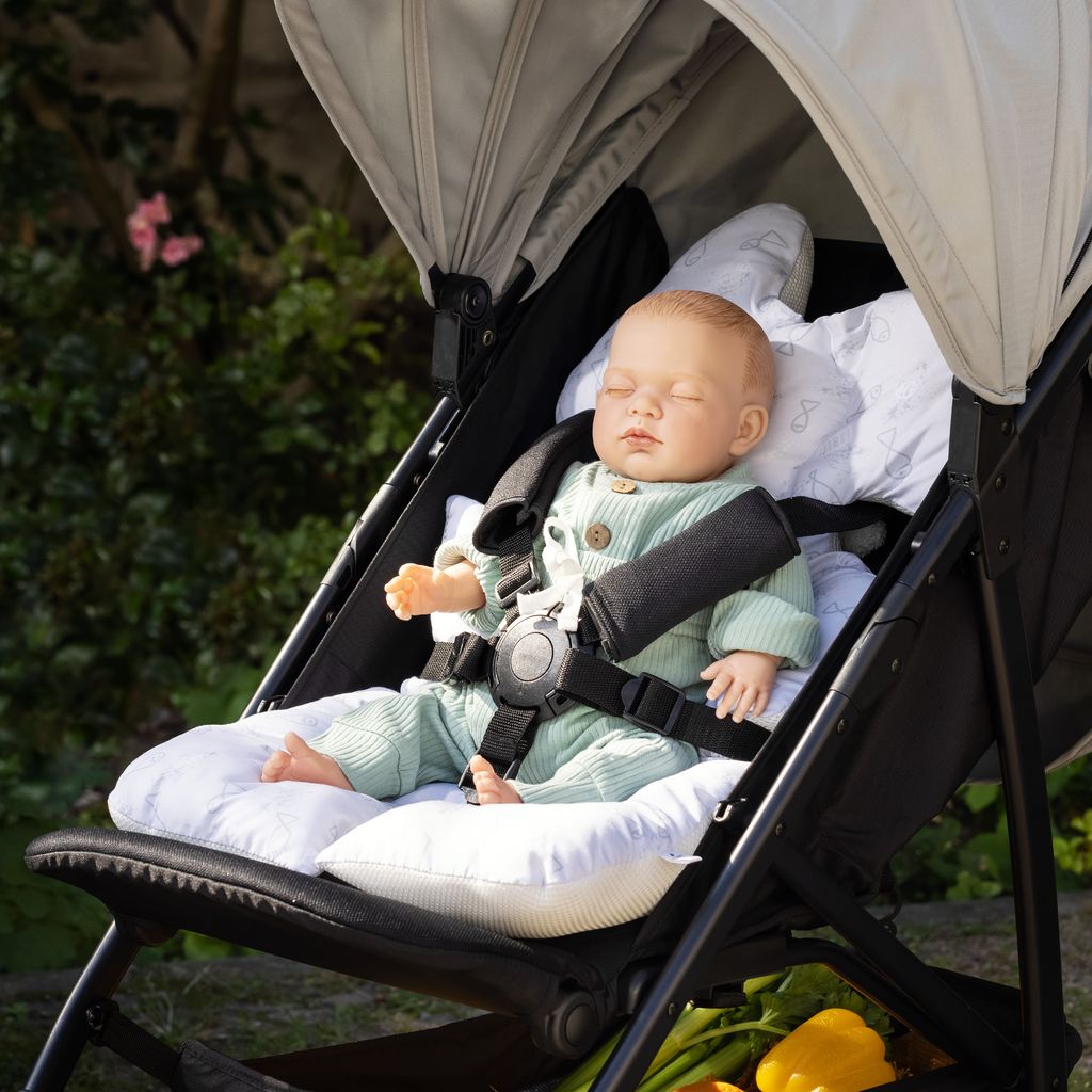 Kinderwagen overstap van reiswieg naar wandelwagen zitje | 1 | 24baby Forum