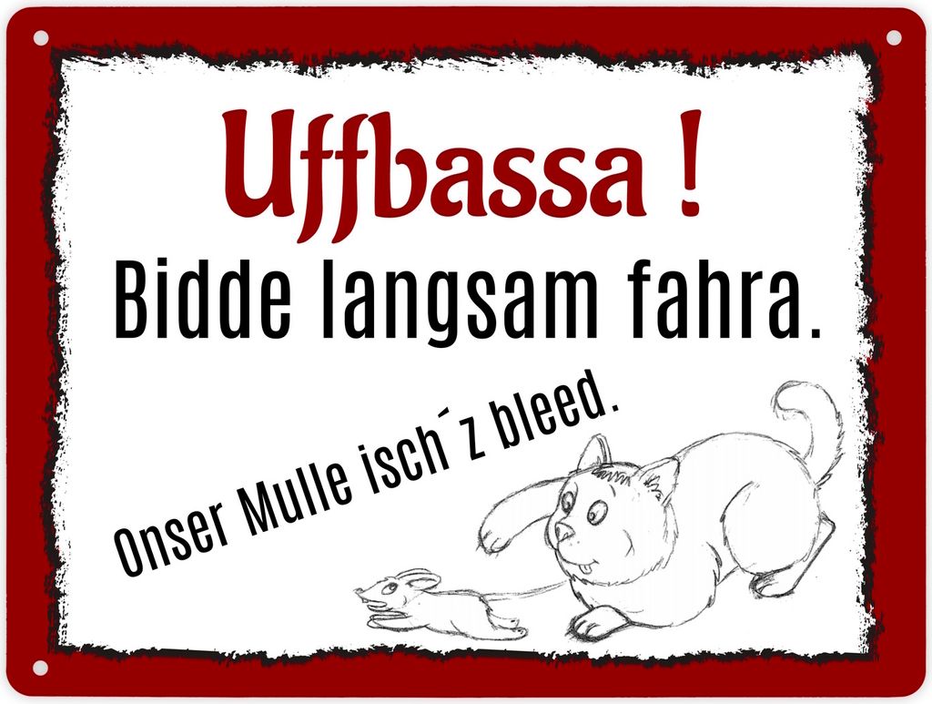 Aufpassen und langsam fahren - unsere Katze ist zu blöd Metallschild XL in