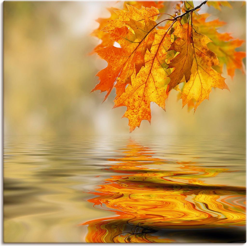 ARTland Leinwandbild Herbstblatt Größe: 40x40 cm