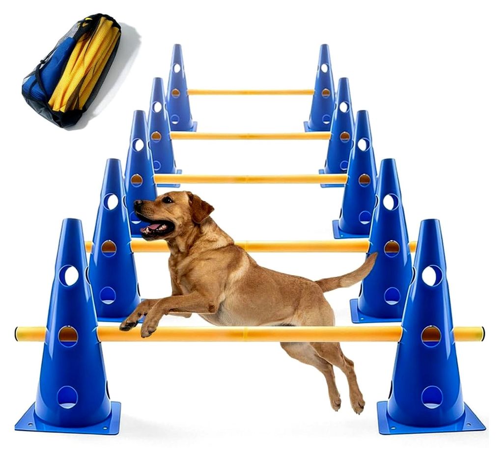 Agility Set für kleine Hunde - Cavaletti, Zubehör für Hobby Horse, Fußballtraining, Erziehungshilfen - 23 cm Höhe, 10 Kegel, 5 Stangen, Netzbe...