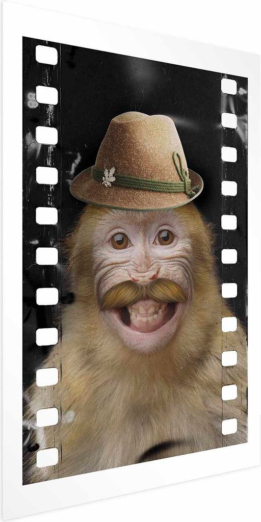 Posterpapier Poster - Monkey in a Hat 60x90 cm Für Kinder g-A-0162-ao-a