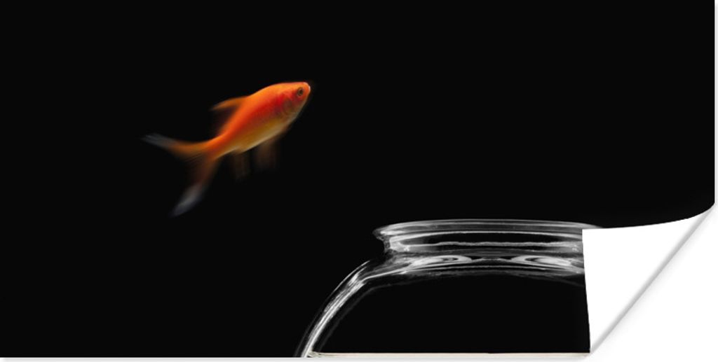 MuchoWow Poster Goldfisch - Fischglas - Schwarz 40x20 cm