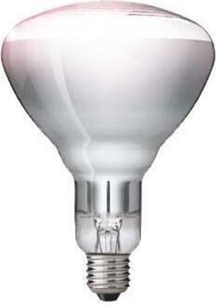 A studio shot of a Philips infrared light bulb against a white background.