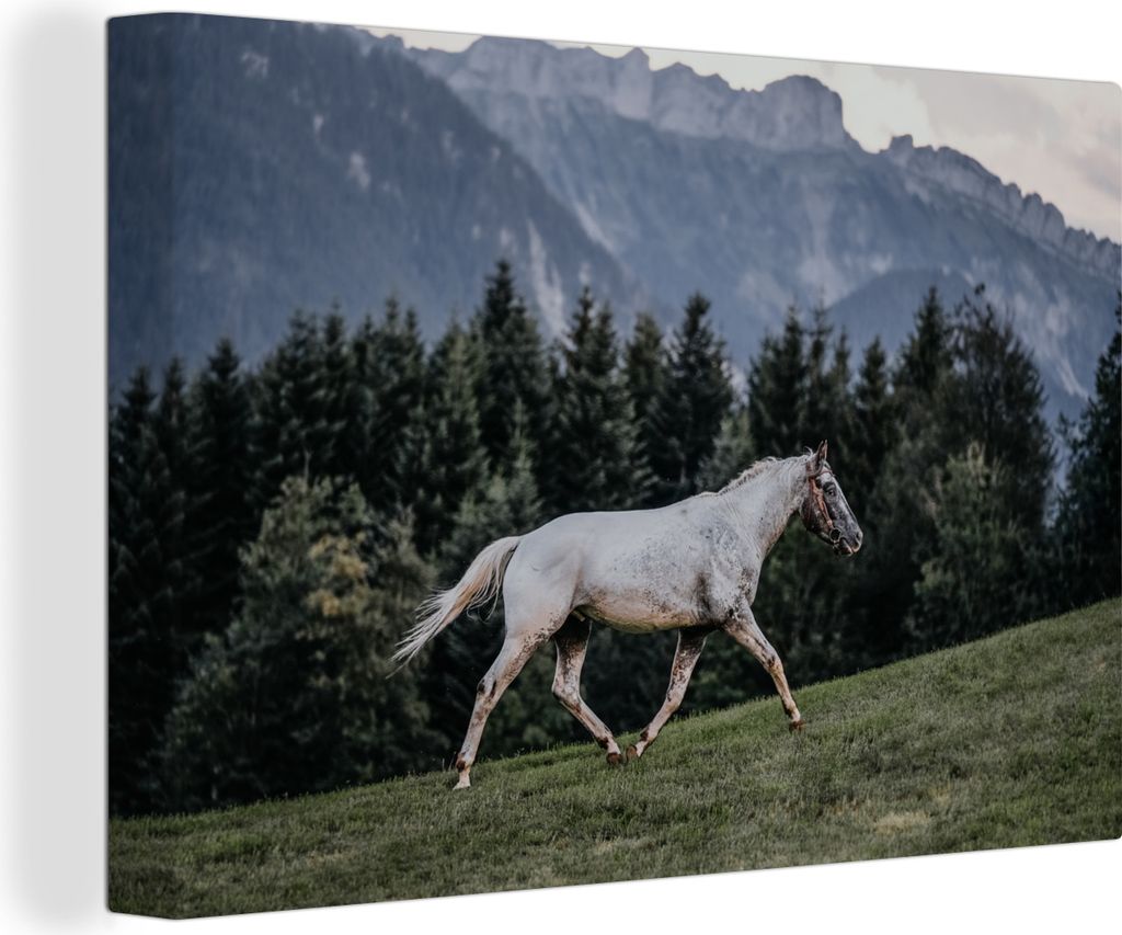 OneMillionCanvasses - Leinwandbilder - 140x90 cm, Pferd - Weide - Berge, Wandbilder Kunstdruck Wanddekoration