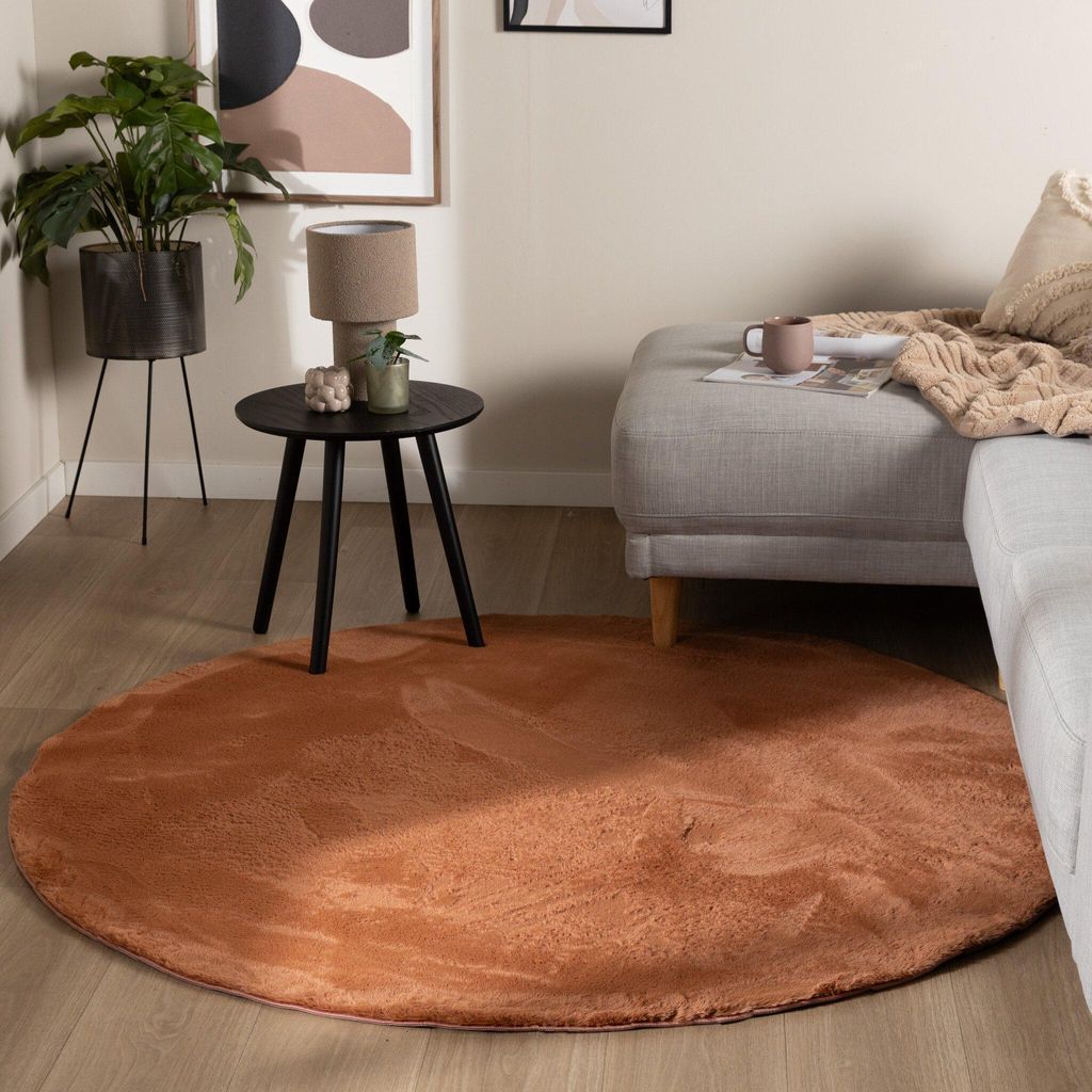 Volero - Flauschiger Teppich Rund - Cozy Terra - Ø 200cm - Wohnzimmer, Schlafzimmer, Büro, Jugendzimmer - Modern, Skandinavisch