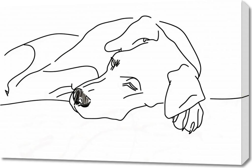 Bild 90x60cm Entspannung für den Hund