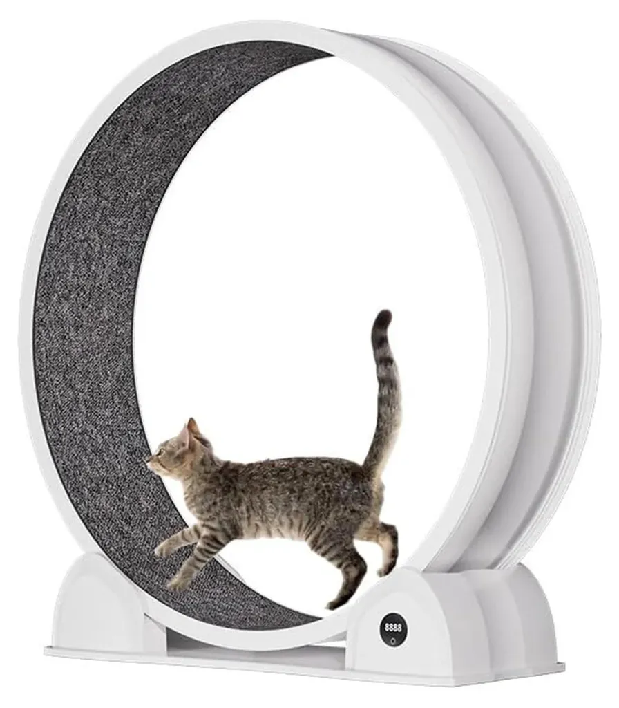 Roue d'entraînement pour chats d'intérieur blanche et podomètre intelligent