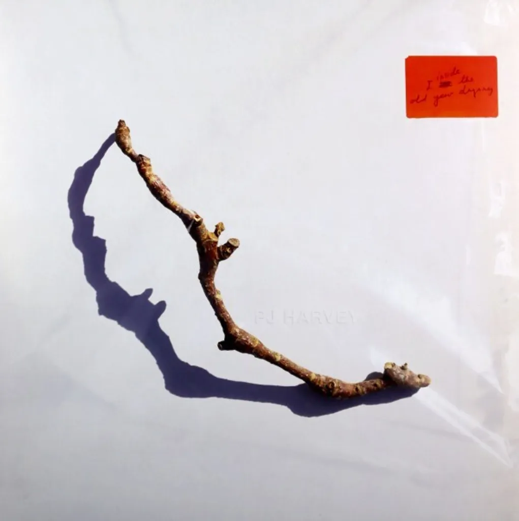Edition Collector PJ Harvey I Inside the Old Year Dying - Son Premium