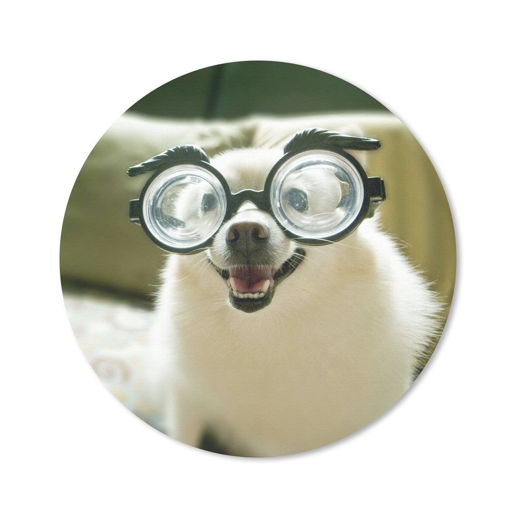 MuchoWow Mauspad Mousepad Tier - Hund - Schutzbrille 50x50 cm - Mousepads - Maus Mat - Pad - Mausunterlage - Vinyl
