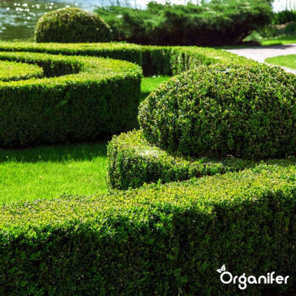 Lavameal z prapôvodnej horniny Eifel (20 kg – pre 200 m2) Obrázok produktu 8