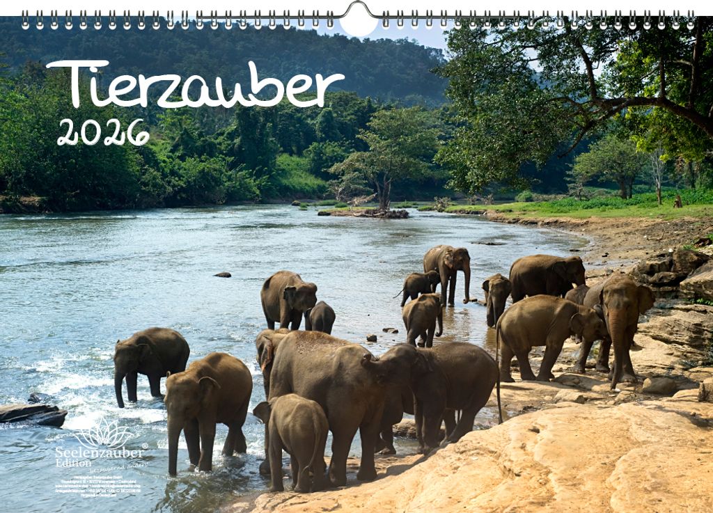 Tierzauber DIN A3 Kalender für 2026 verschiedene Tiere - Seelenzauber