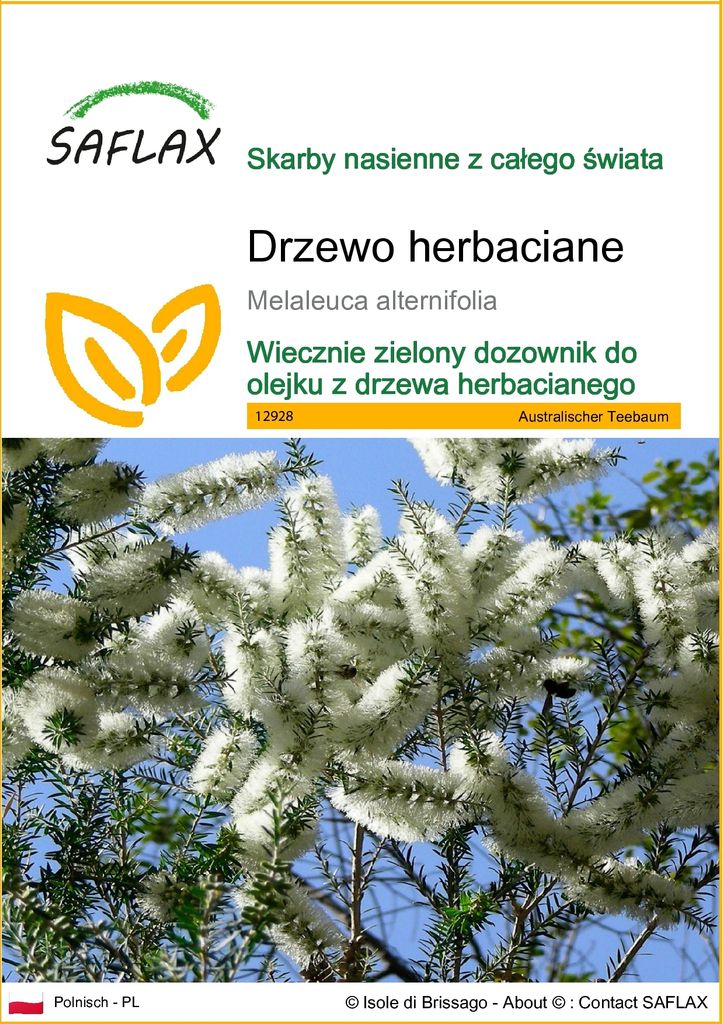SAFLAX - Drzewo herbaciane - 400 Nasiona - Melaleuca Zdjęcie produktu 