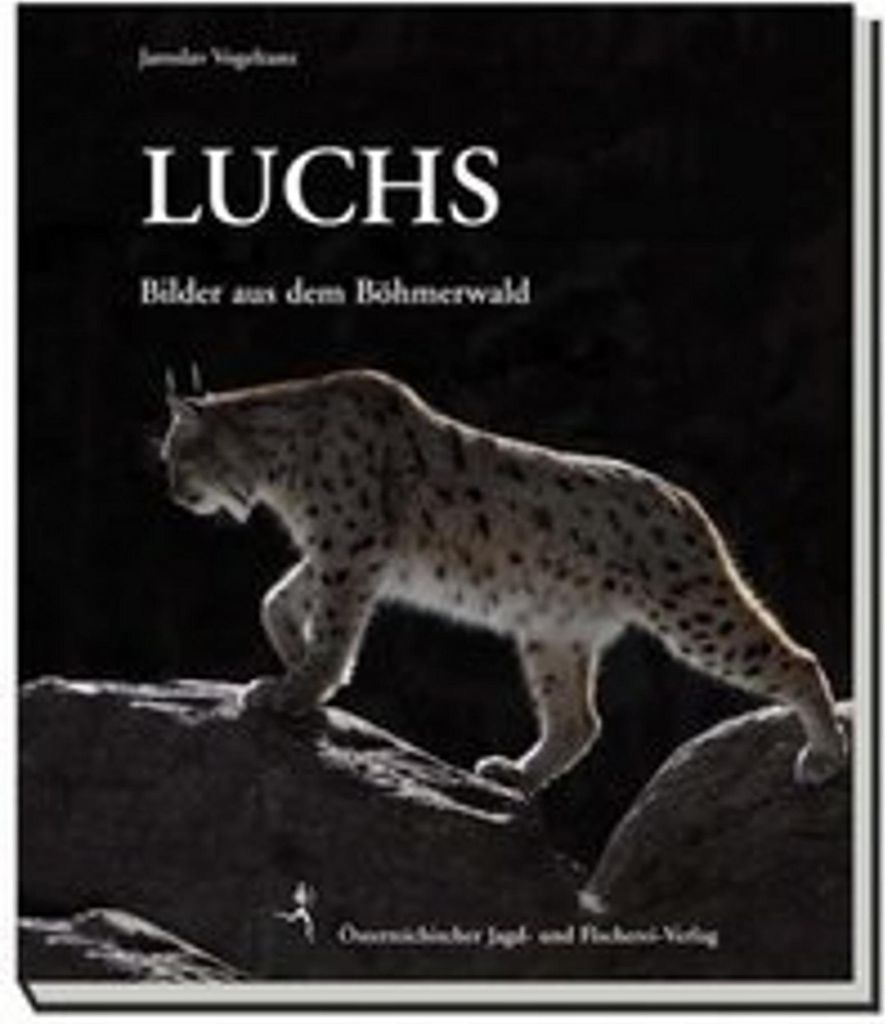 Luchse