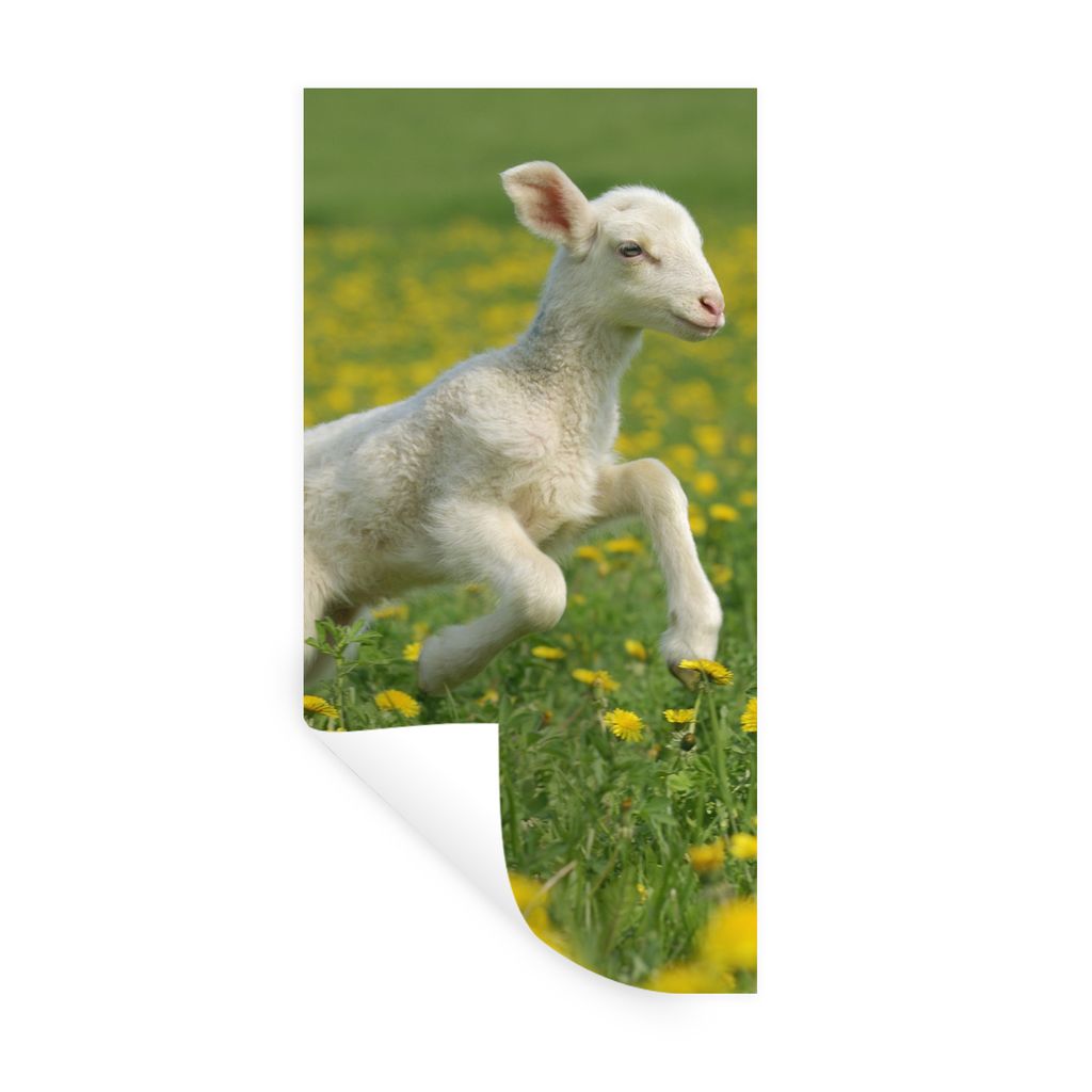 MuchoWow Wandtattoo Wandsticker Wandaufkleber Schafe - Blumen - Gelb 20x40 cm Selbstklebend und Repositionierbar - Selbstklebend - Fototapeten