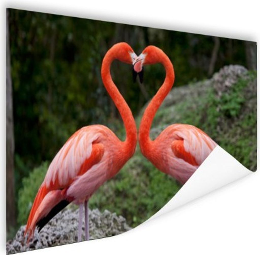MuchoWow Poster Zwei Flamingos bilden ein Herz 90x60 cm - Schlafzimmer