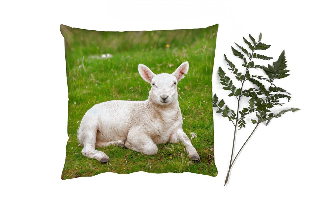 MuchoWow Zierkissen Sofakissen Wohnzimmer Dekokissen 60x60 cm Schafe - Tiere - Lamm - Sitzfläche - Foto Polster