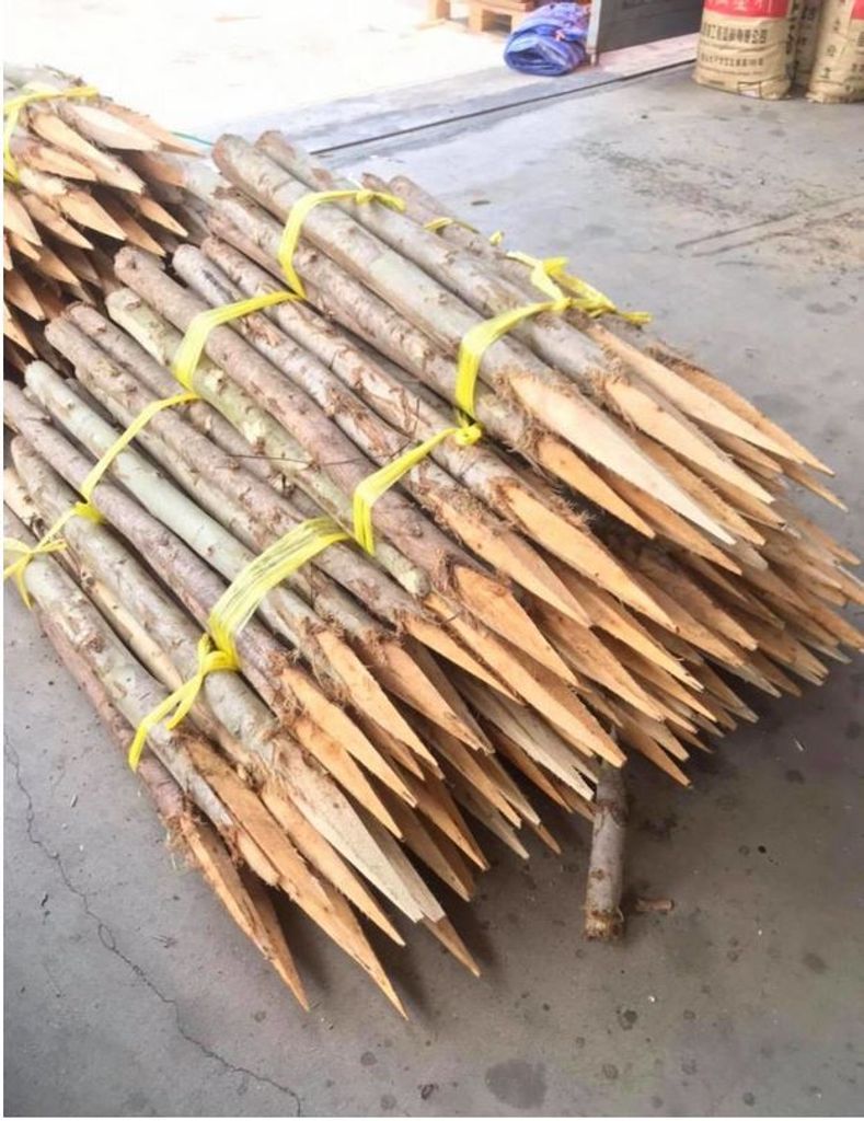 Eukalyptus Pfosten mit Rinde 100 cm -  Holzpfahl der Produktbild 