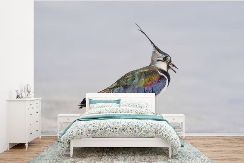 MuchoWow Fototapete für Wohnzimmer oder Schlafzimmer Wandtapete Vinyl Motivtapete Vogel - Tiere - Sand - Kiebitz - 400x300 cm - Papiertapeten