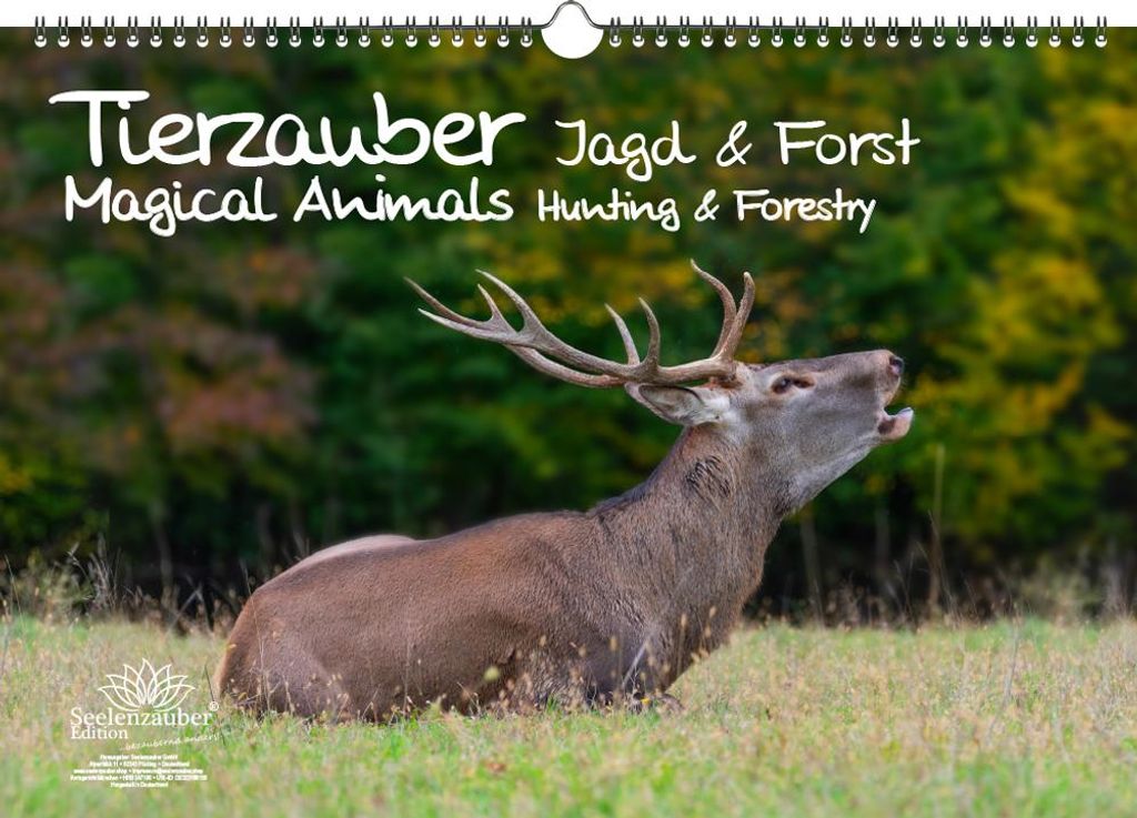 Tierzauber Jagd & Forst Immerwährender Kalender DIN A3 - Seelenzauber