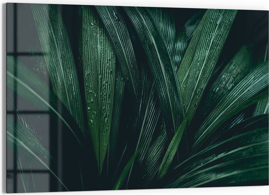 DEQORI Glasbild Echtglas 90x60 cm 'Tropisches Flüstern' Wandbild Bild modern Deko