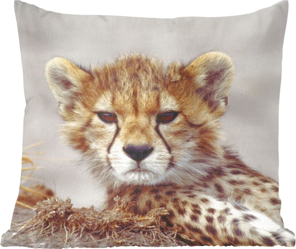 MuchoWow Zierkissen Sofakissen Wohnzimmer Dekokissen 50x50 cm Gepard - Jung - Porträt - Komfort - Sofakissen